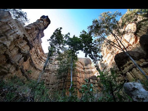 ผาช่อ Grand Canyon Thailand